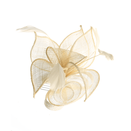 Pieptene elegant, floare alba cu pene