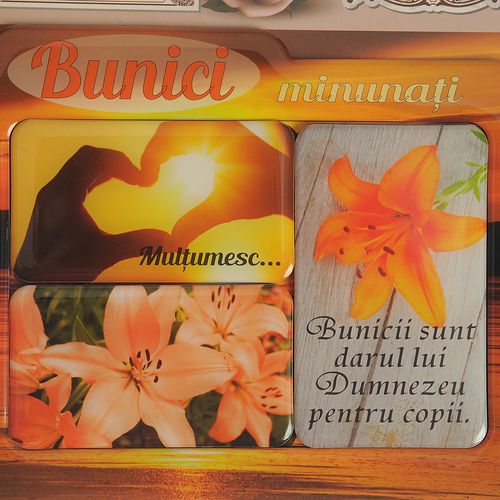 Rama foto magnetica, bunici minunati