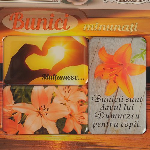 Rama foto magnetica Bunici minunati