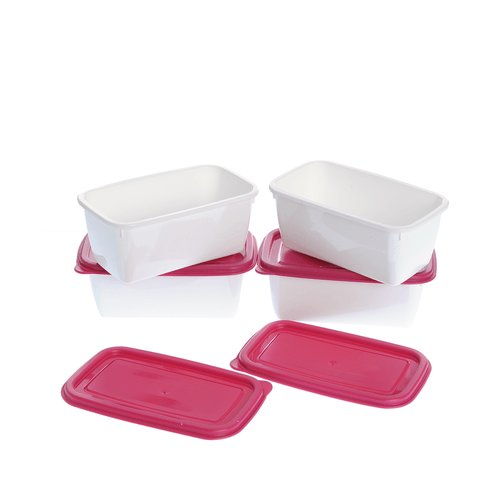 Set 4 cutii depozitare alimente