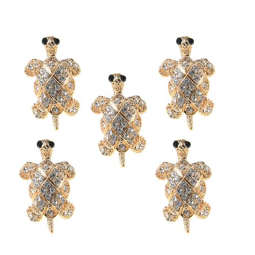 Set 5 brose testoase
