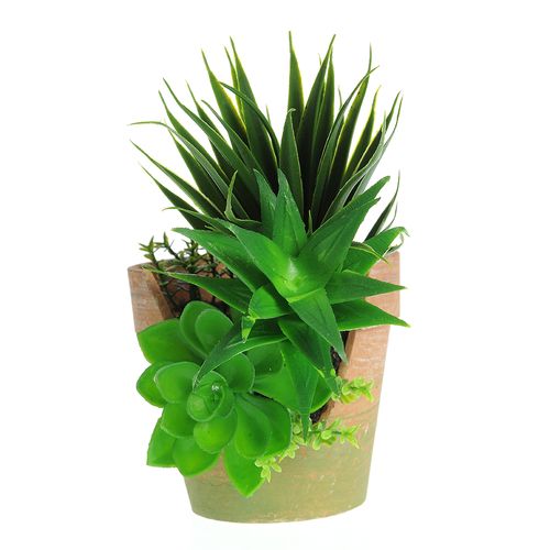 Decoratiune de gradina ghiveci cu planta