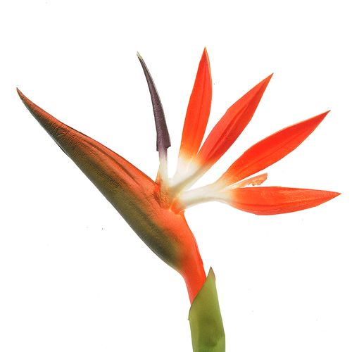 Floare artificiala strelitzia