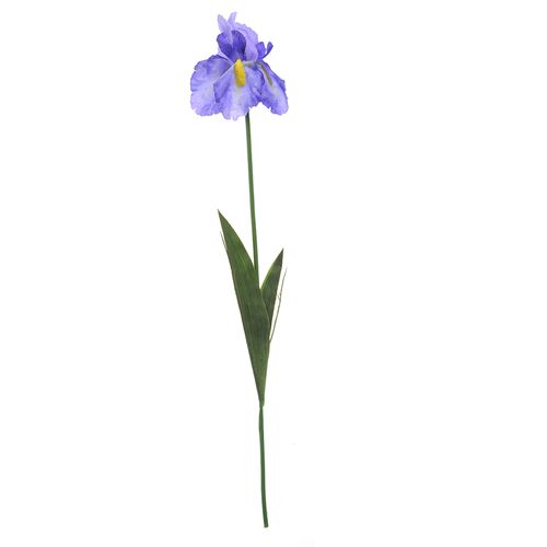 Floare decorativa iris