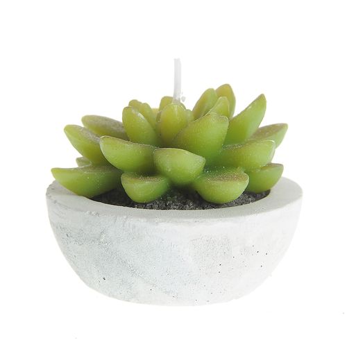 Lumanare floare cactus