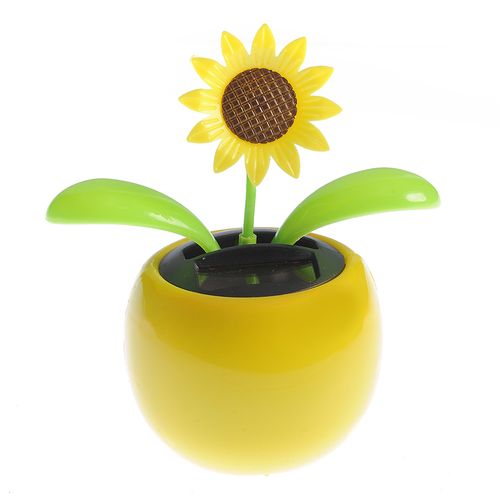 Ghiveci decorativ cu floare pentru gradina